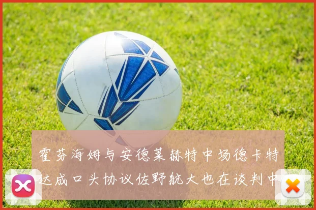 霍芬海姆与安德莱赫特中场德卡特达成口头协议佐野航大也在谈判中