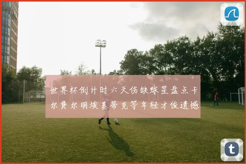 世界杯倒计时六天伤缺球星盘点卡尔费尔明埃基蒂克等年轻才俊遗憾缺席