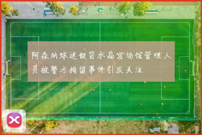 阿森纳球迷假冒水晶宫场馆管理人员被警方拘留事件引发关注