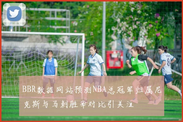 BBR数据网站预测NBA总冠军归属尼克斯与马刺胜率对比引关注